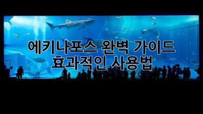 에키나포스 완벽 가이드: 효과적인 사용법