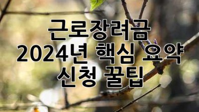 근로장려금💰 2024년 핵심 요약 & 신청 꿀팁🍯
