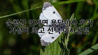순창군 인계면 용달이사 후기🏡: 가성비 최고 선택! #이사꿀팁